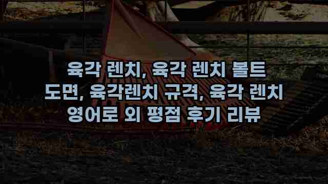  육각 렌치, 육각 렌치 볼트 도면, 육각렌치 규격, 육각 렌치 영어로 외 평점 후기 리뷰