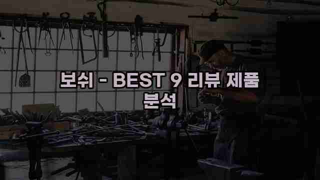 보쉬 - BEST 9 리뷰 제품 분석